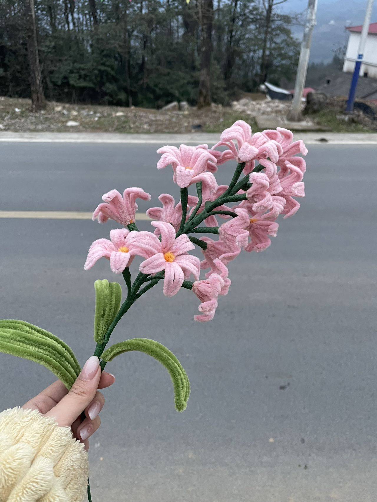 一禾