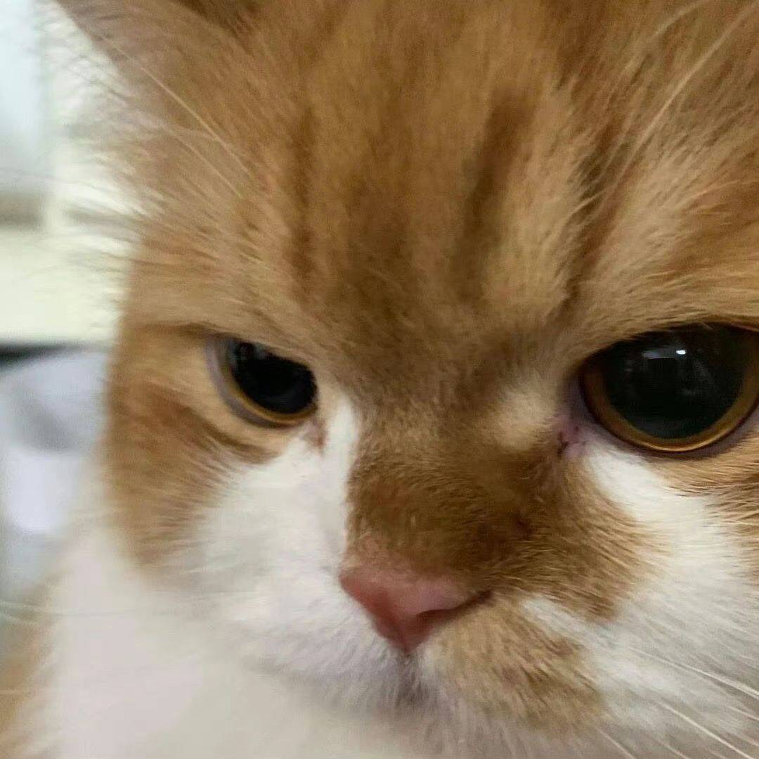 桌