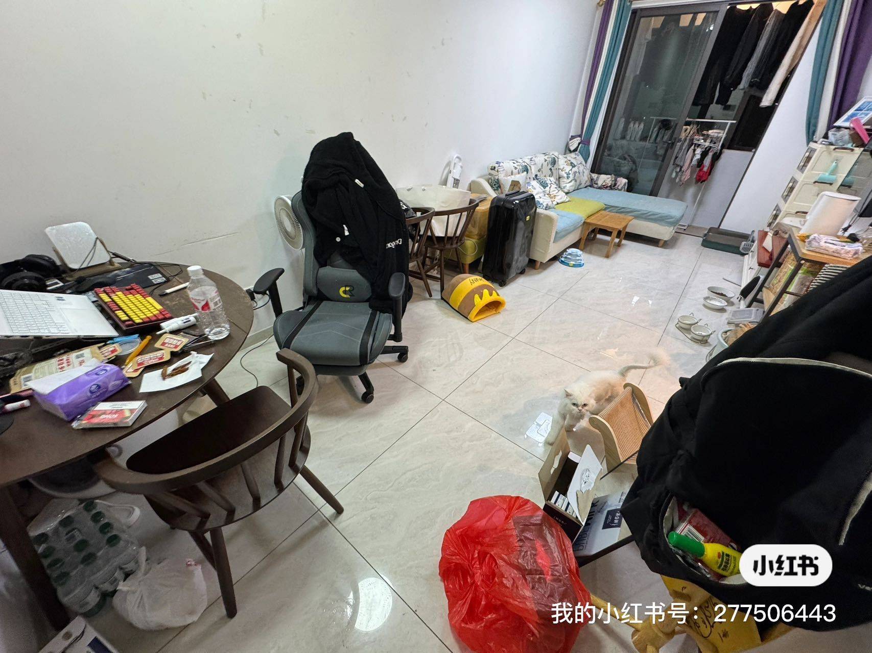 Dongguan-Guancheng-东莞国贸租房,东莞租房,租房,广东租房