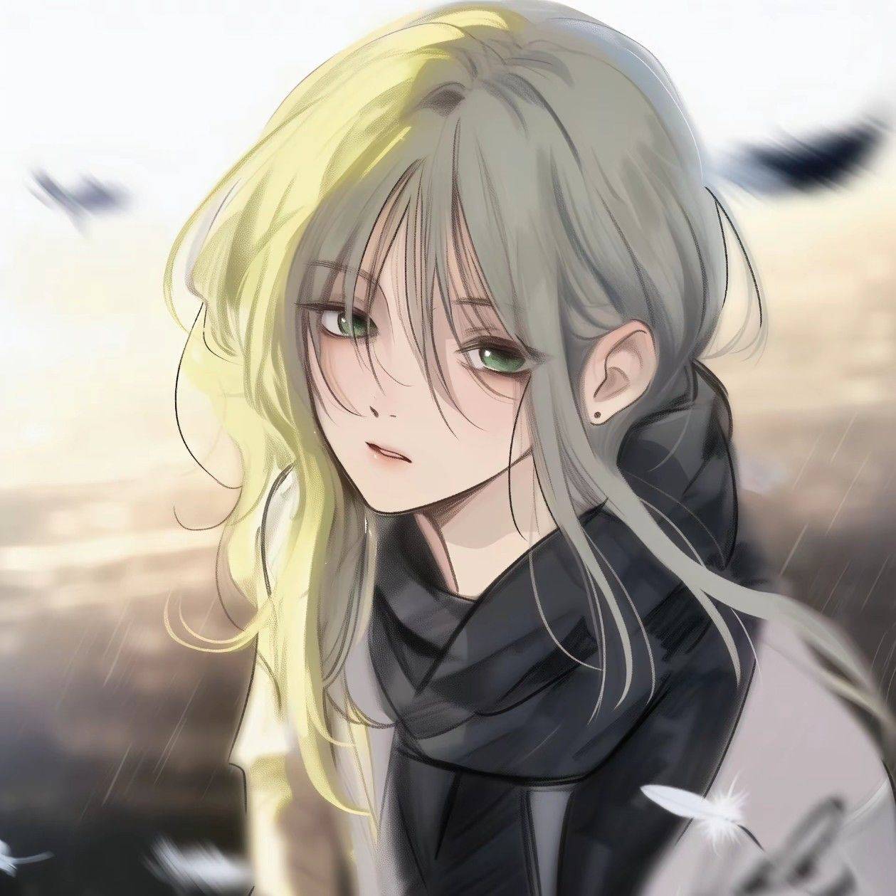 舟舟