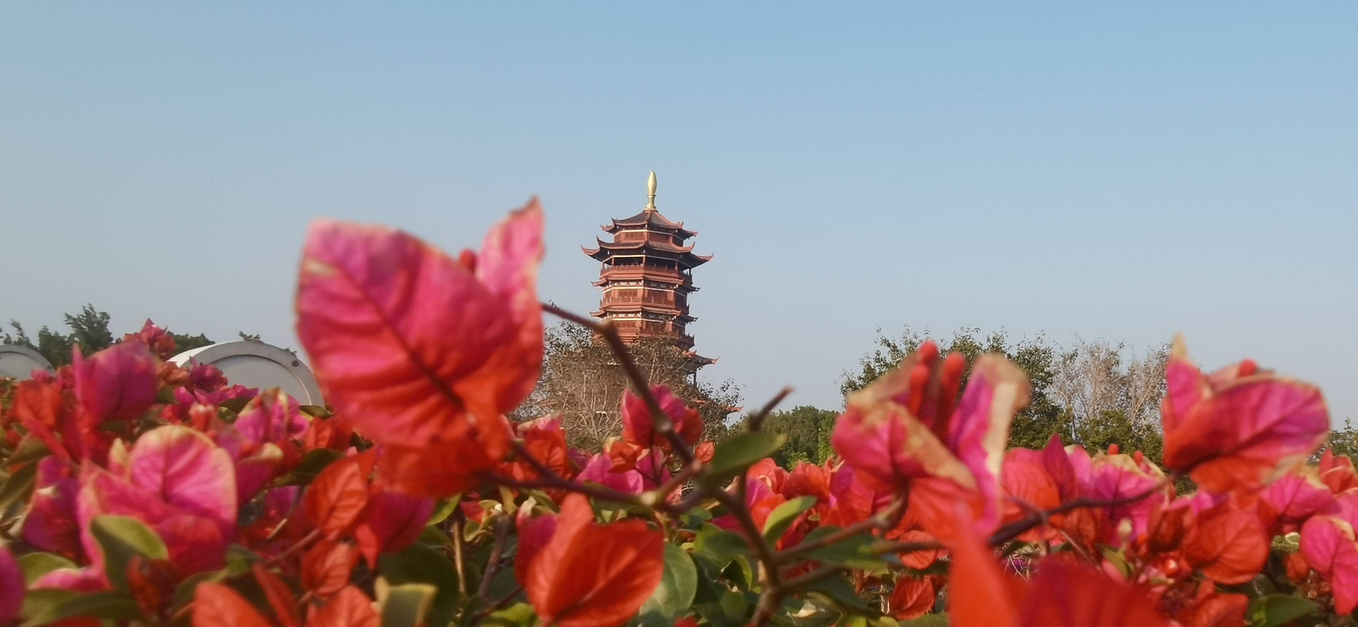 叮当