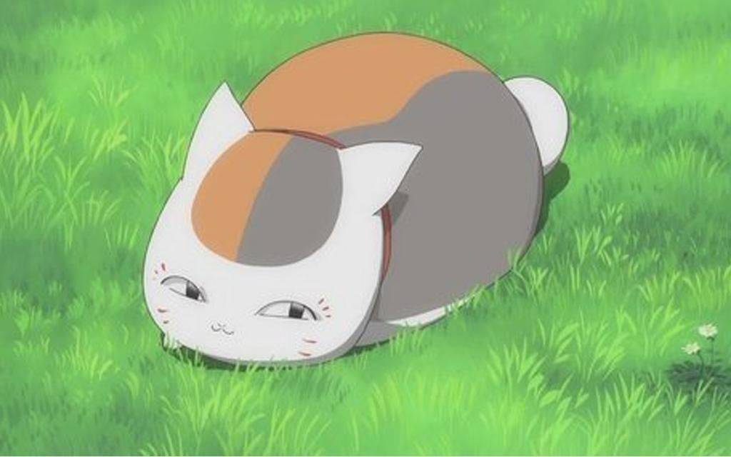 zz
