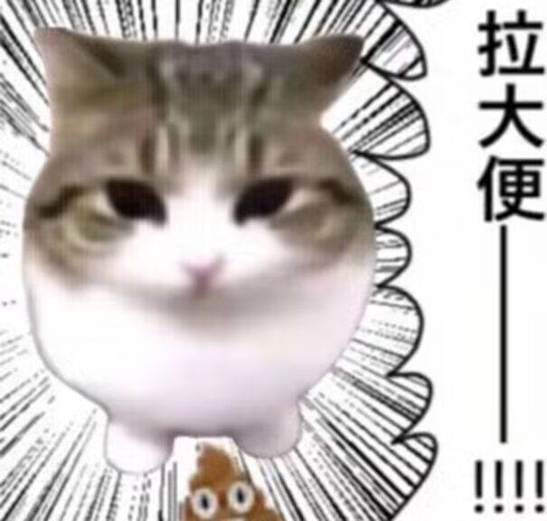 島前
