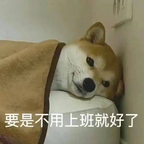 布茨