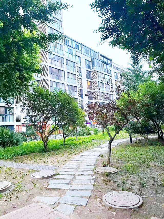 Beijing-Chaoyang-Cozy Home,Clean&Comfy,No Gender Limit,Hustle & Bustle,“Friends”,Chilled