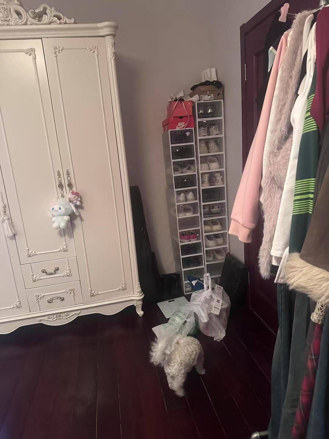 Jinan-Licheng-Cozy Home,Clean&Comfy,No Gender Limit