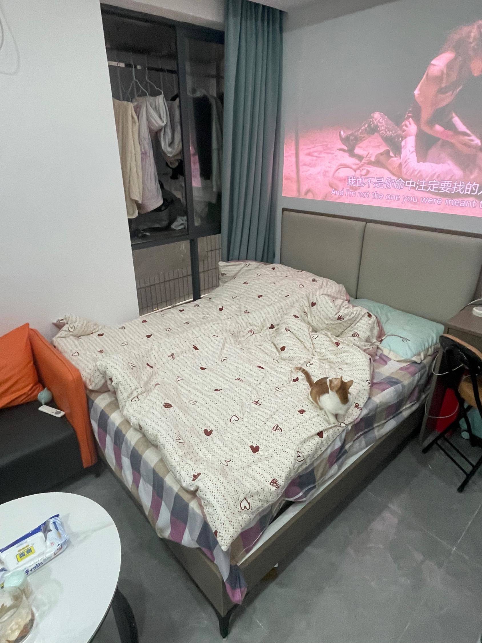 Shenzhen-Nanshan-Cozy Home,Clean&Comfy,No Gender Limit,Hustle & Bustle,“Friends”,Chilled,LGBTQ Friendly,Pet Friendly