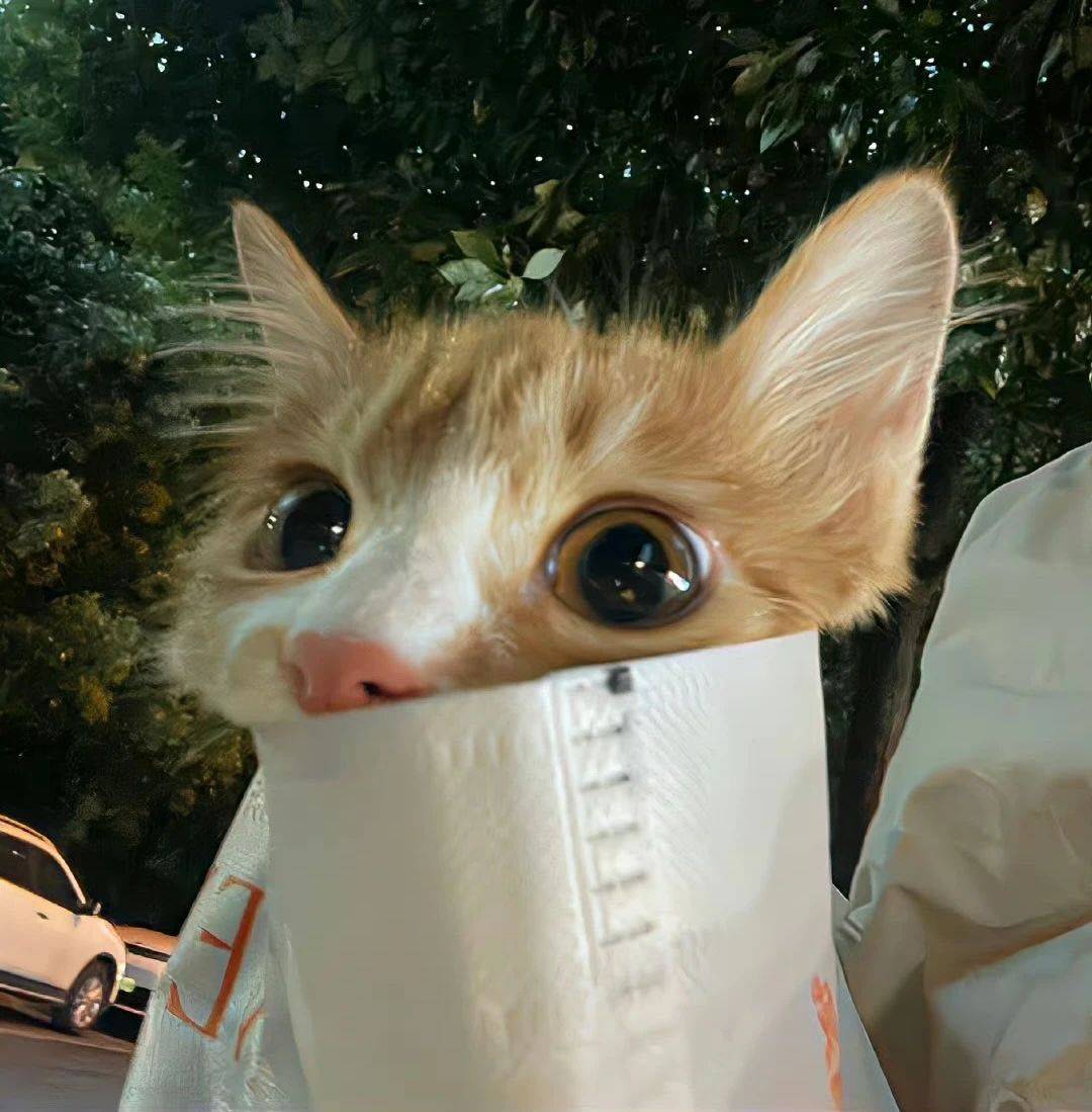 冯唐诗