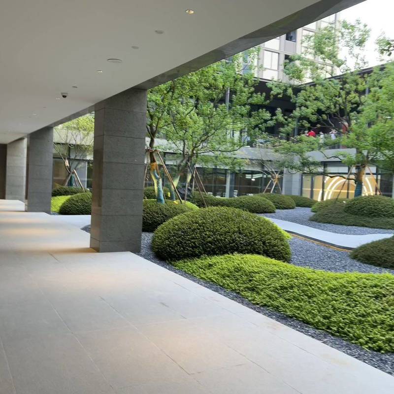 杭州 临安 | 桃李湖滨里_4