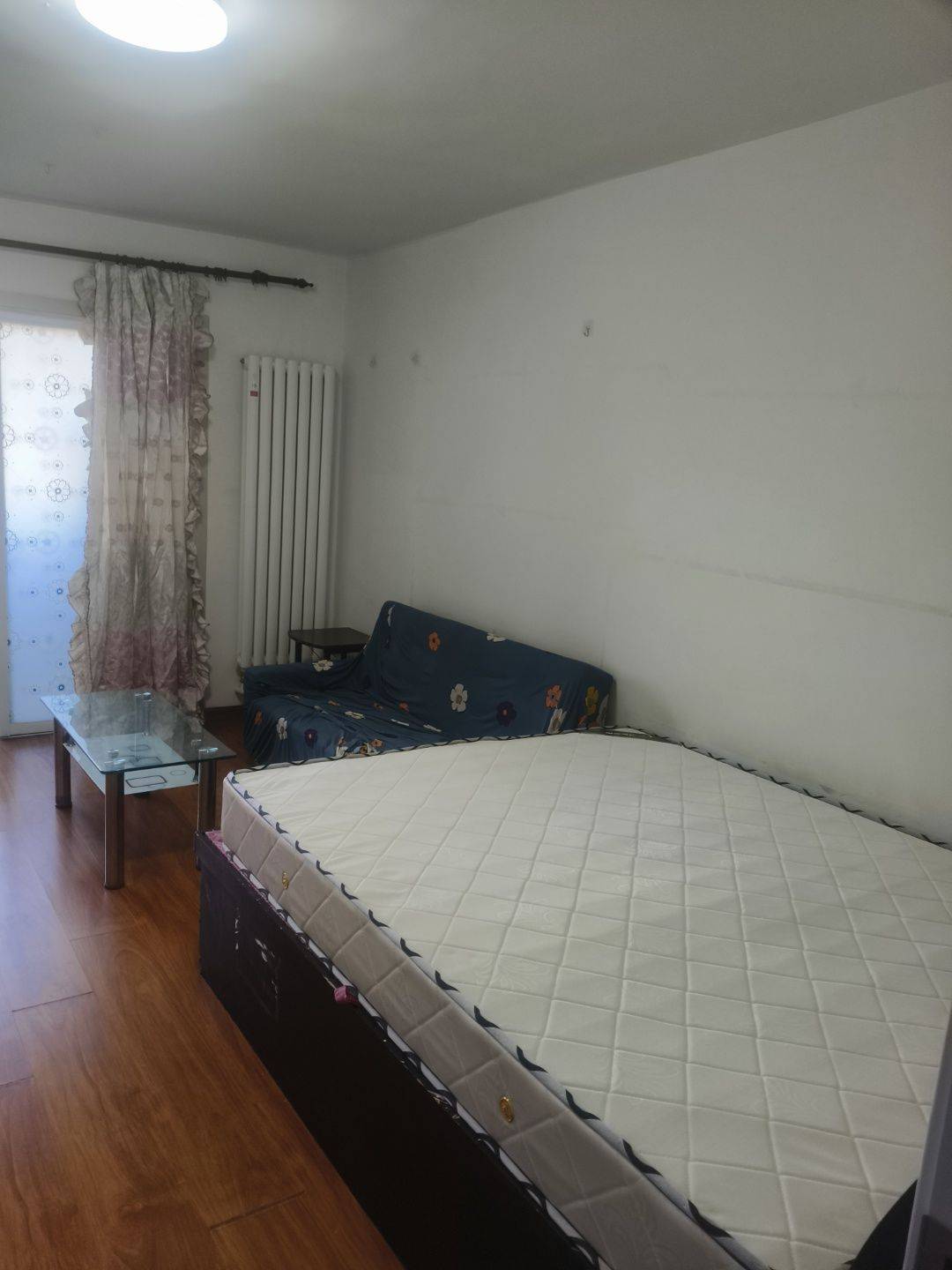 Tianjin-Hexi-Cozy Home,Clean&Comfy,Hustle & Bustle,Pet Friendly