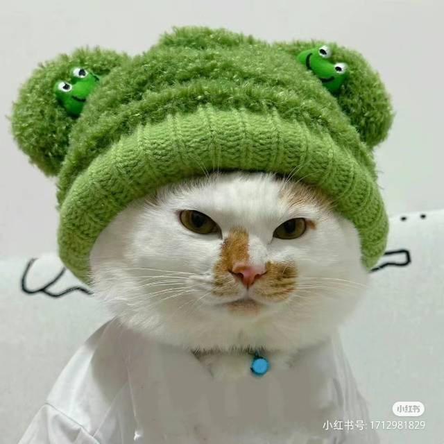 晨