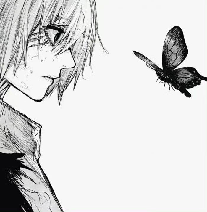 Wanderer