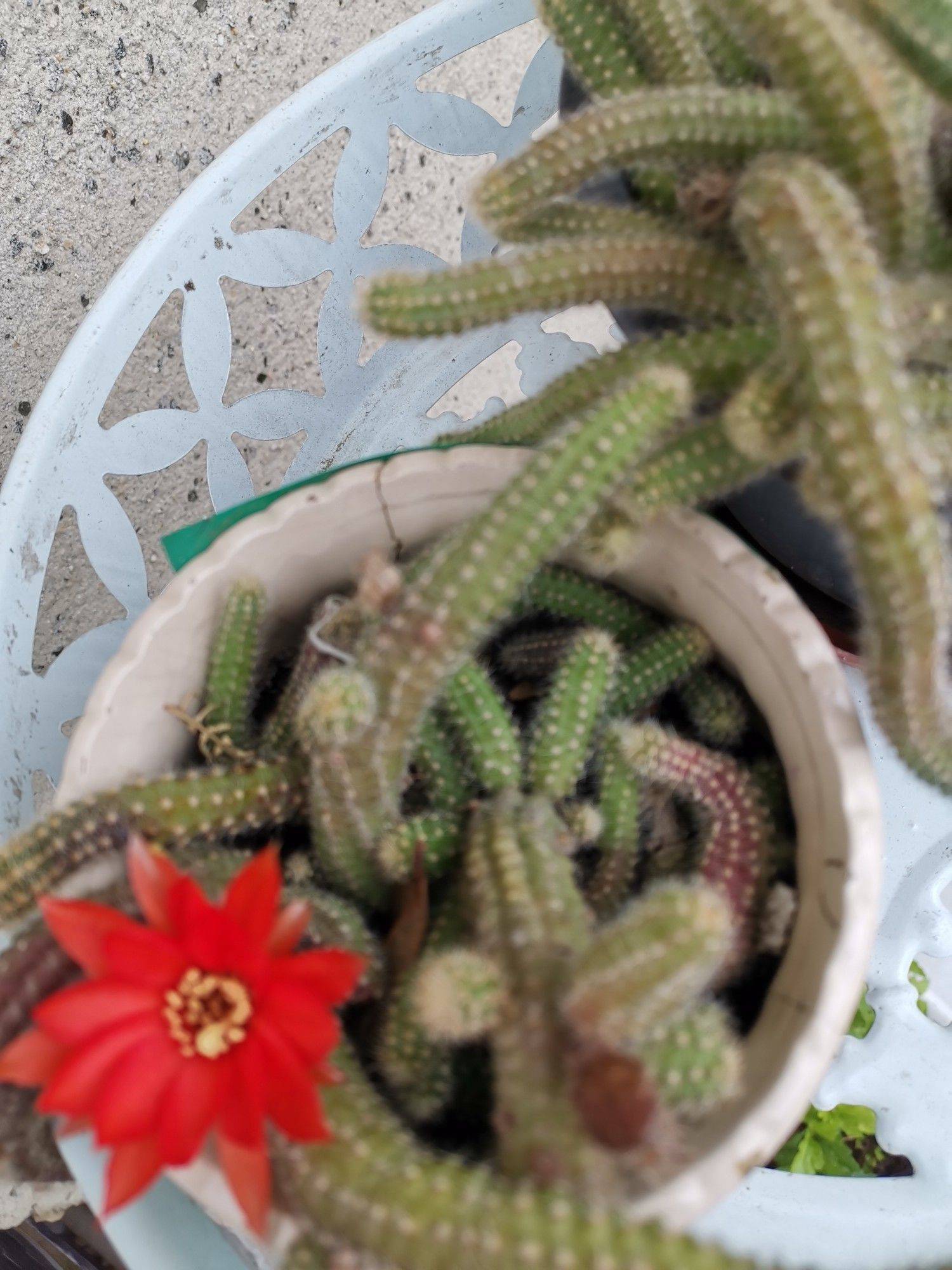 等等