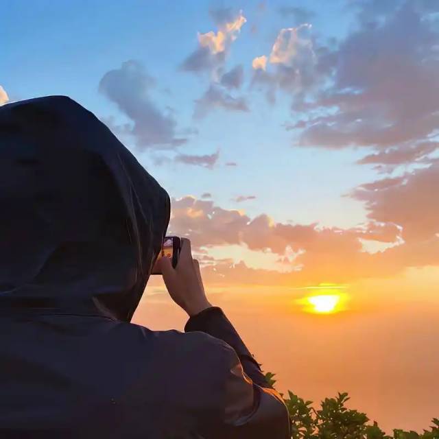 伯乐说我是好马