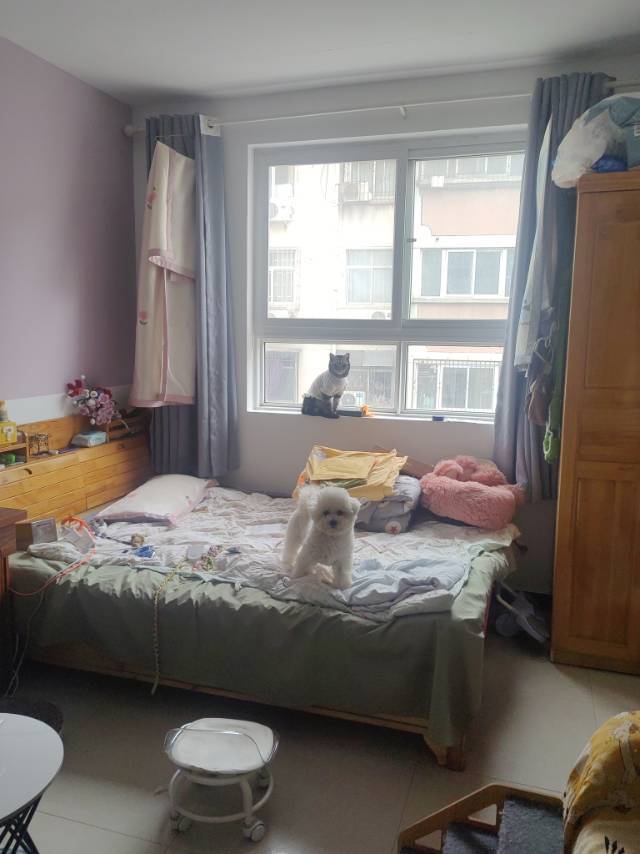 Zhengzhou-Jinshui-Cozy Home,Clean&Comfy,No Gender Limit,Hustle & Bustle