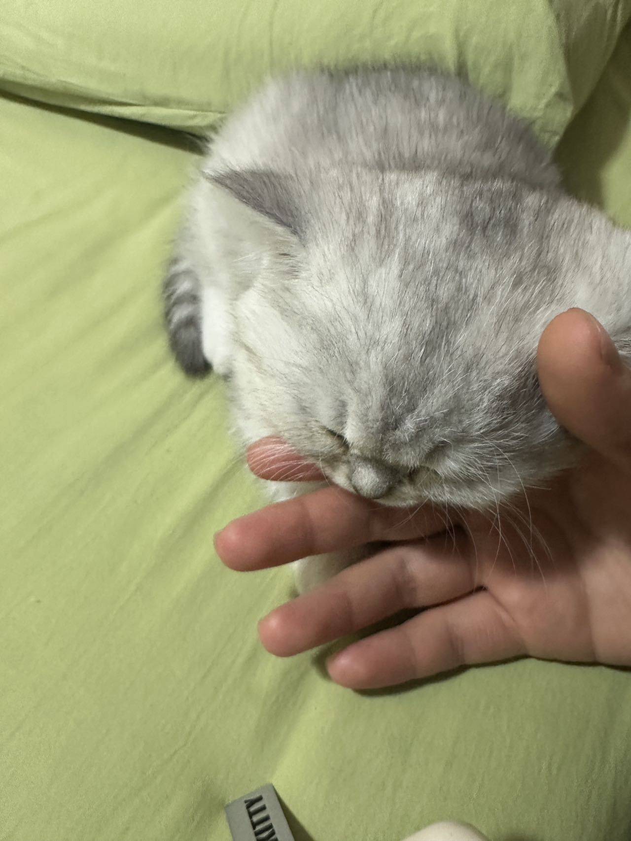 顾沐熙