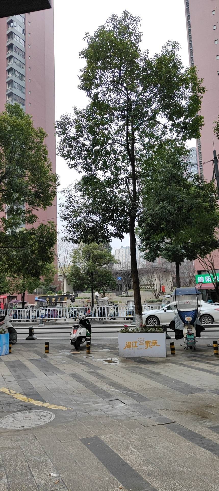 难得糊涂