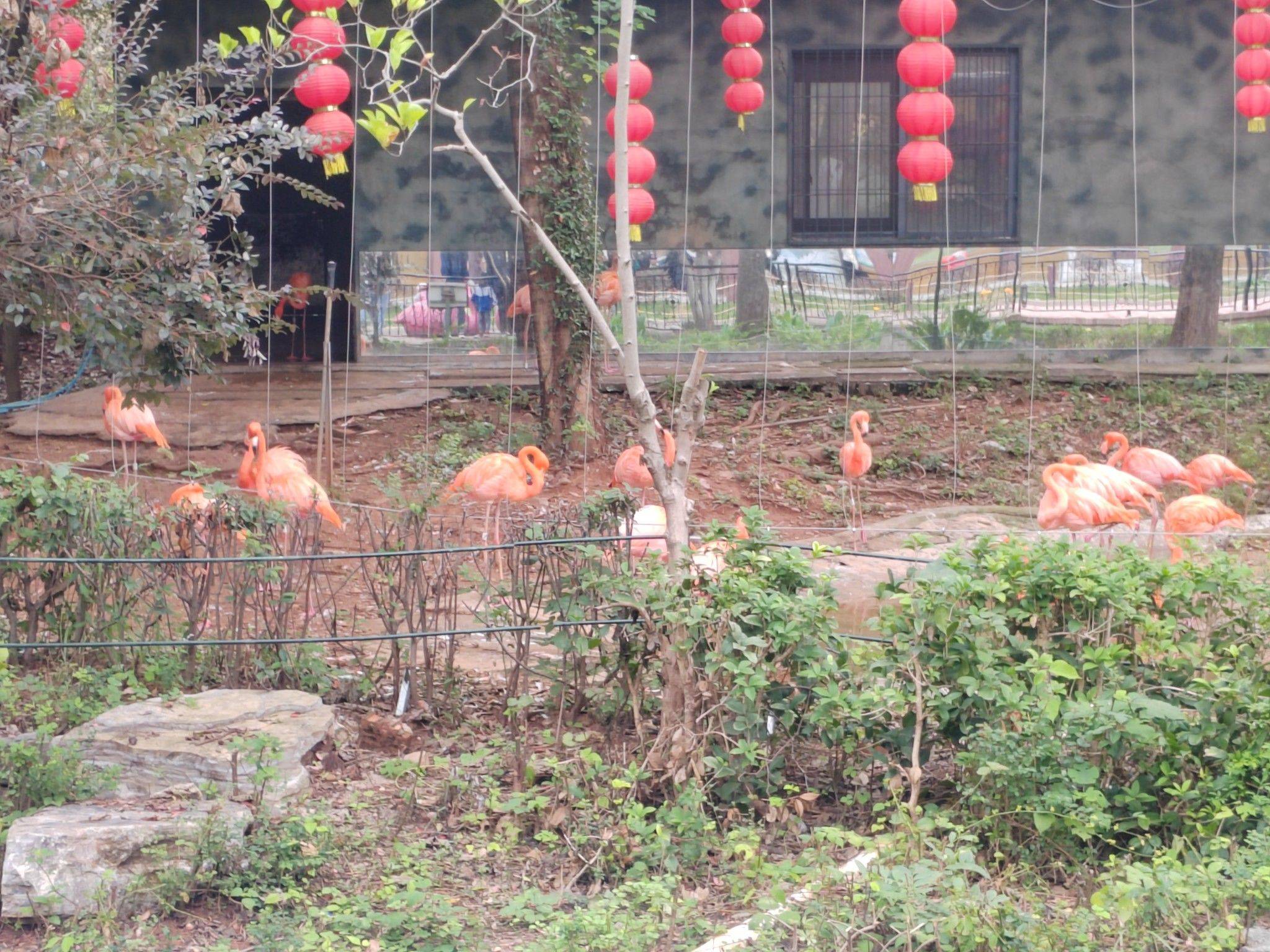 陈
