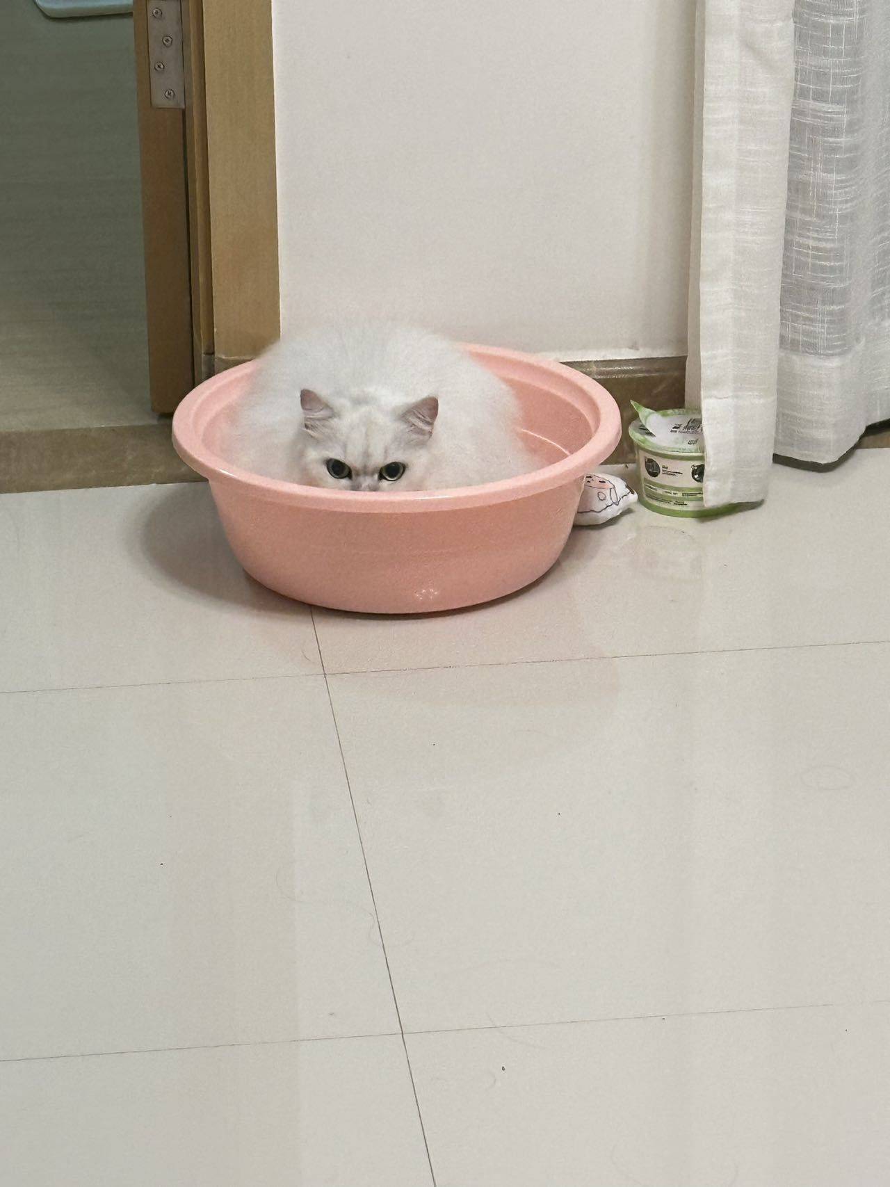 哈哈哈