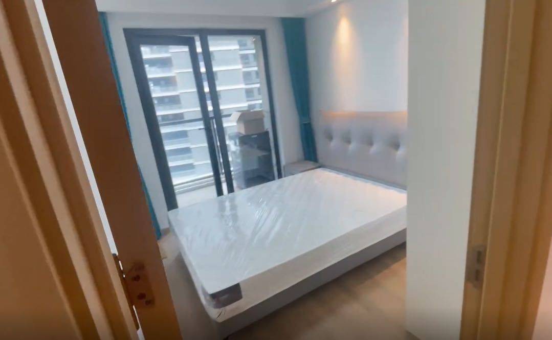 苏州-相城-乾淨治愈,寵物友好