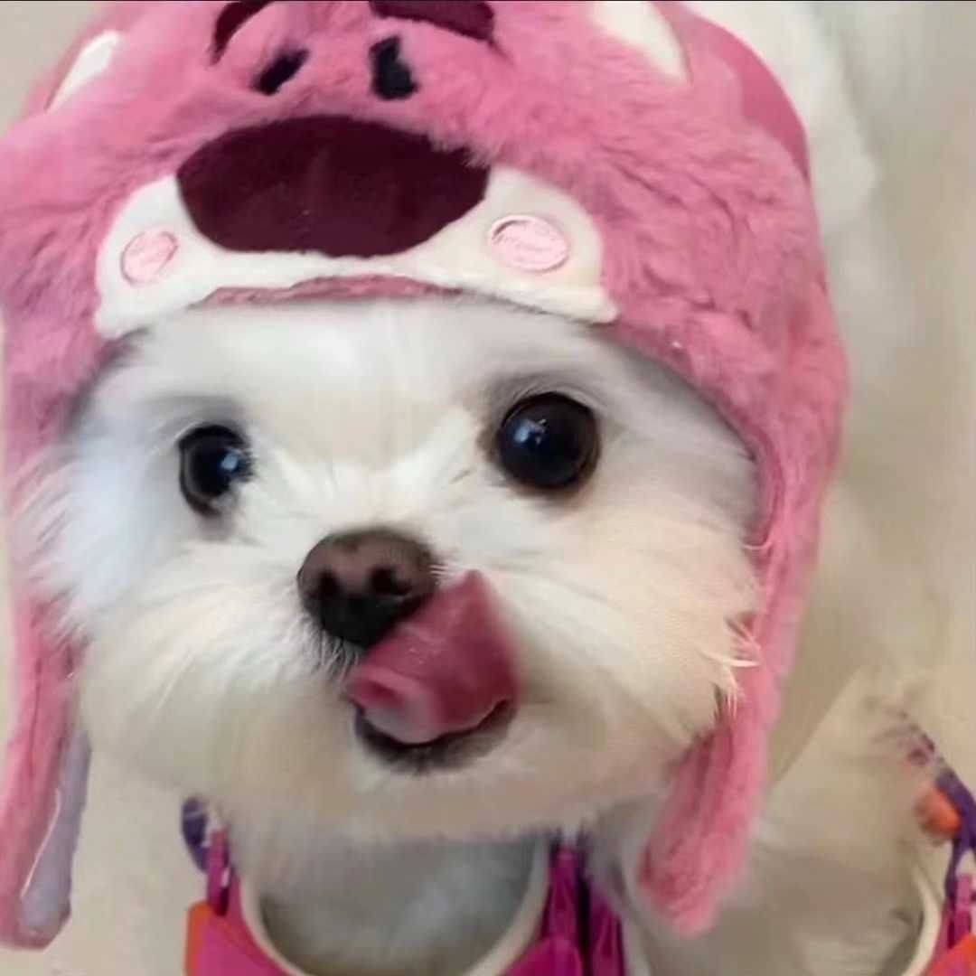 翎