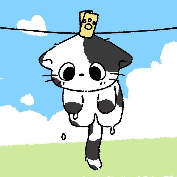 白月光收藏夹