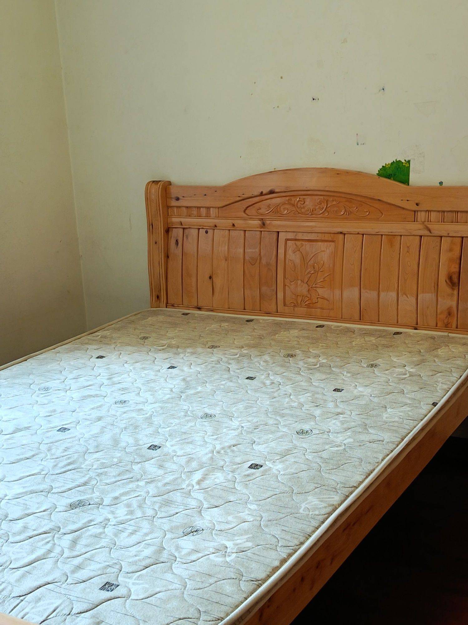 成都-武侯-软件园，大源,天府新谷，世纪城,天鹅湖花园,军安卫士花园,可月付，押一付一,华府大道，四河地铁站,领馆国际城,环球中心，SKP,天府三街，天府五街,孵化园，金融城,天祥广场,会展中心，美年广场,长虹科技大厦,国防家苑，红树湾,寵物友好,LGBTQ友好,溫馨小窩,乾淨治愈,不限性別,市井煙火氣,老友記,慢時光