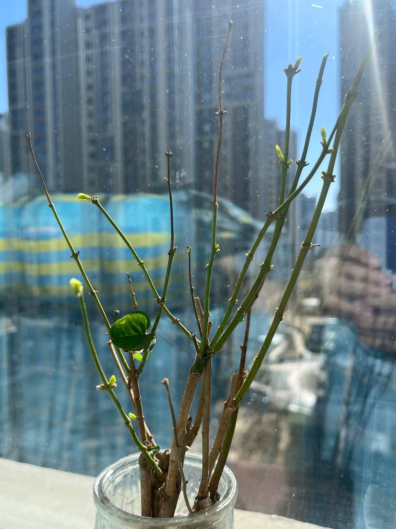 北京-海淀-溫馨小窩,乾淨治愈,不限性別,市井煙火氣