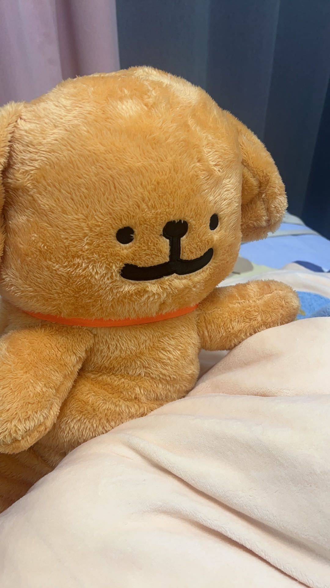 zzz