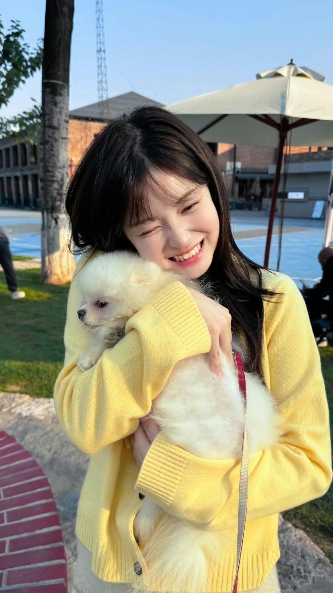 猪猪