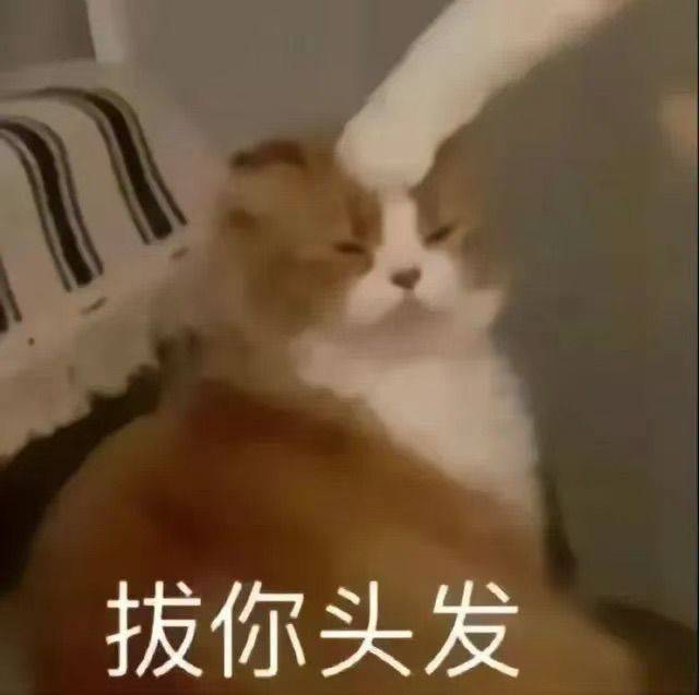 孤独的狼