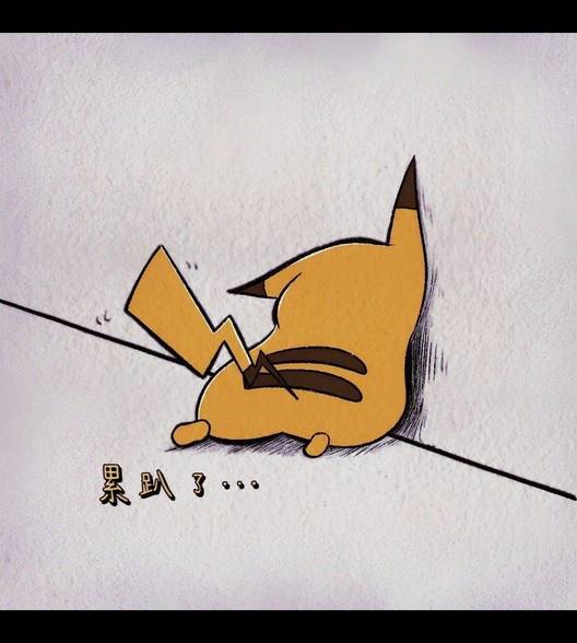 途径她的盛放