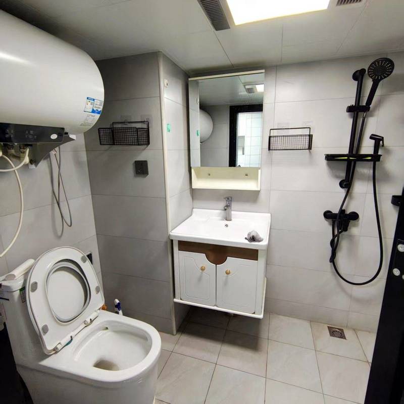 Changsha Yuelu | 岳麓区麓谷龙湖湘江星座(谷苑路北50米)_3