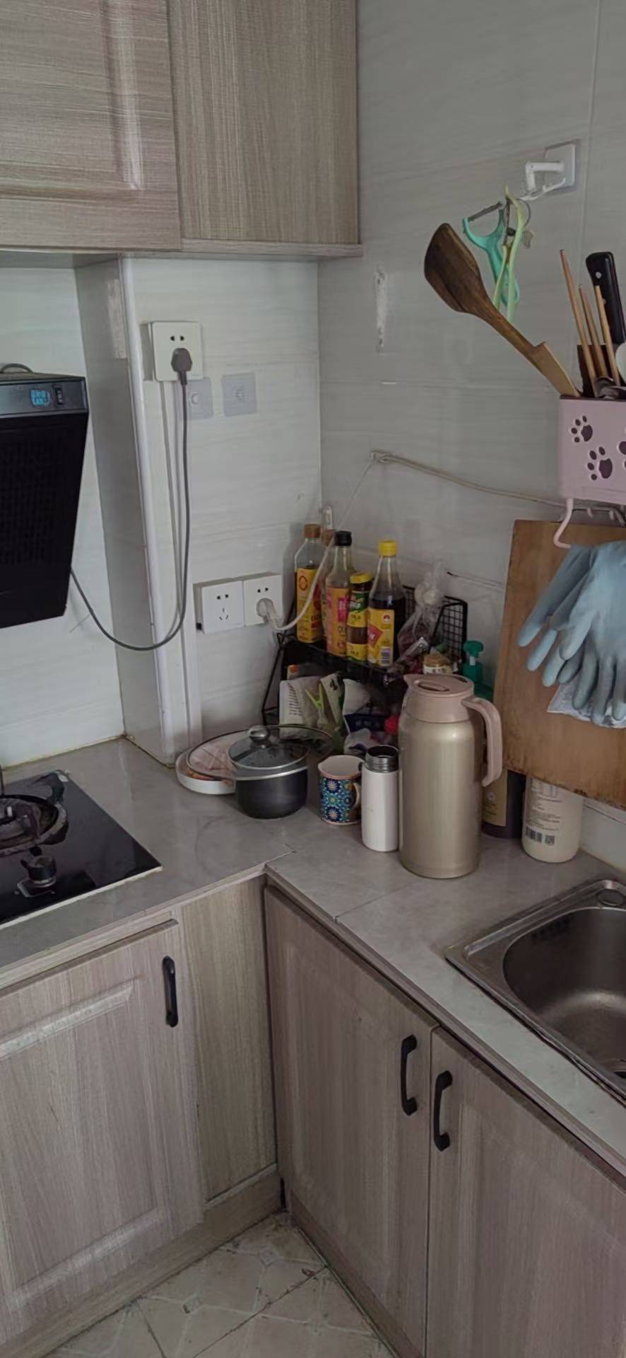 Shanghai-Songjiang-Cozy Home,Clean&Comfy,No Gender Limit,Pet Friendly