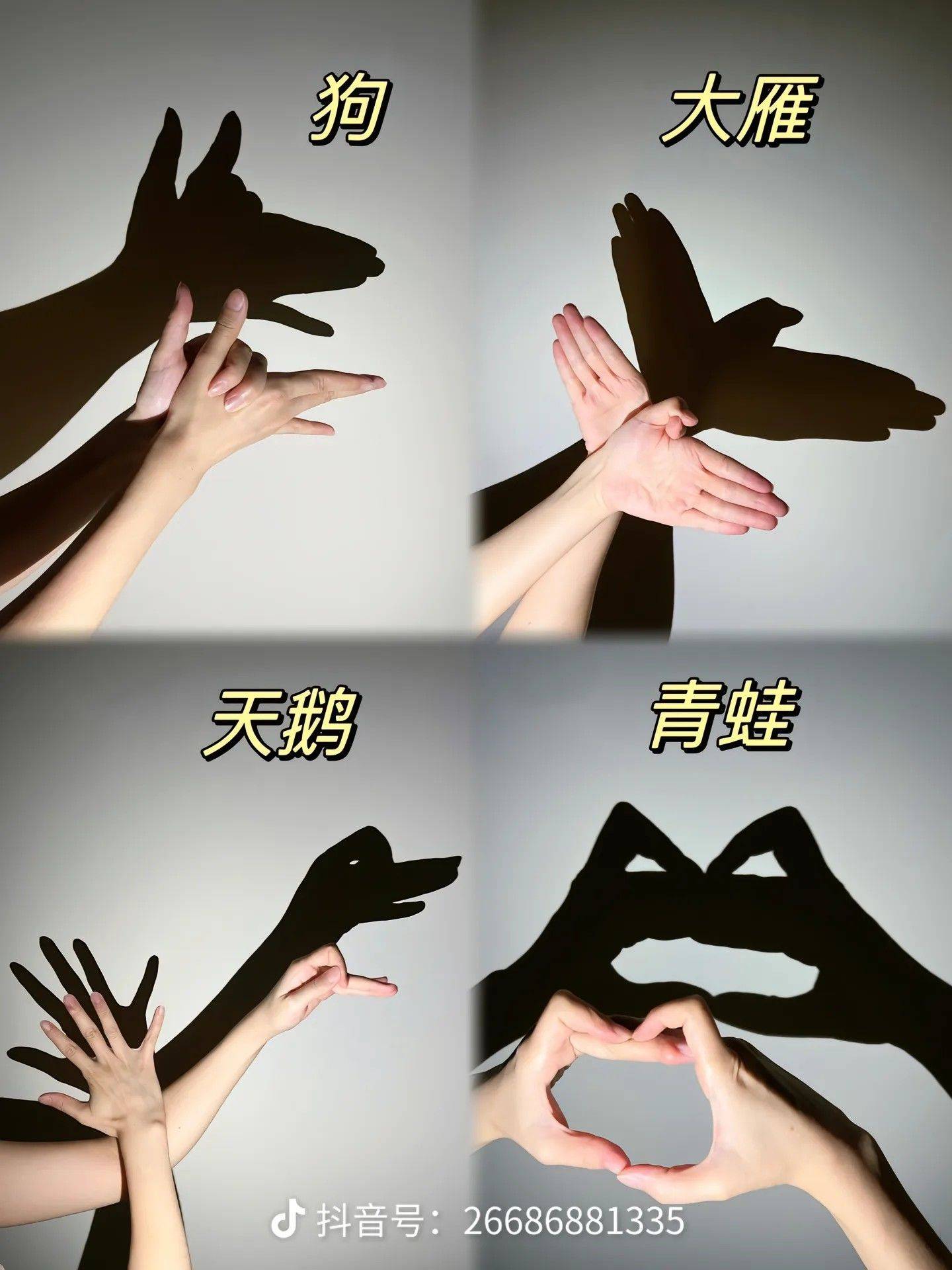 牛牛