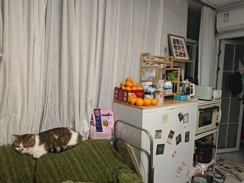 Shenzhen-Longhua-Cozy Home,No Gender Limit,Hustle & Bustle