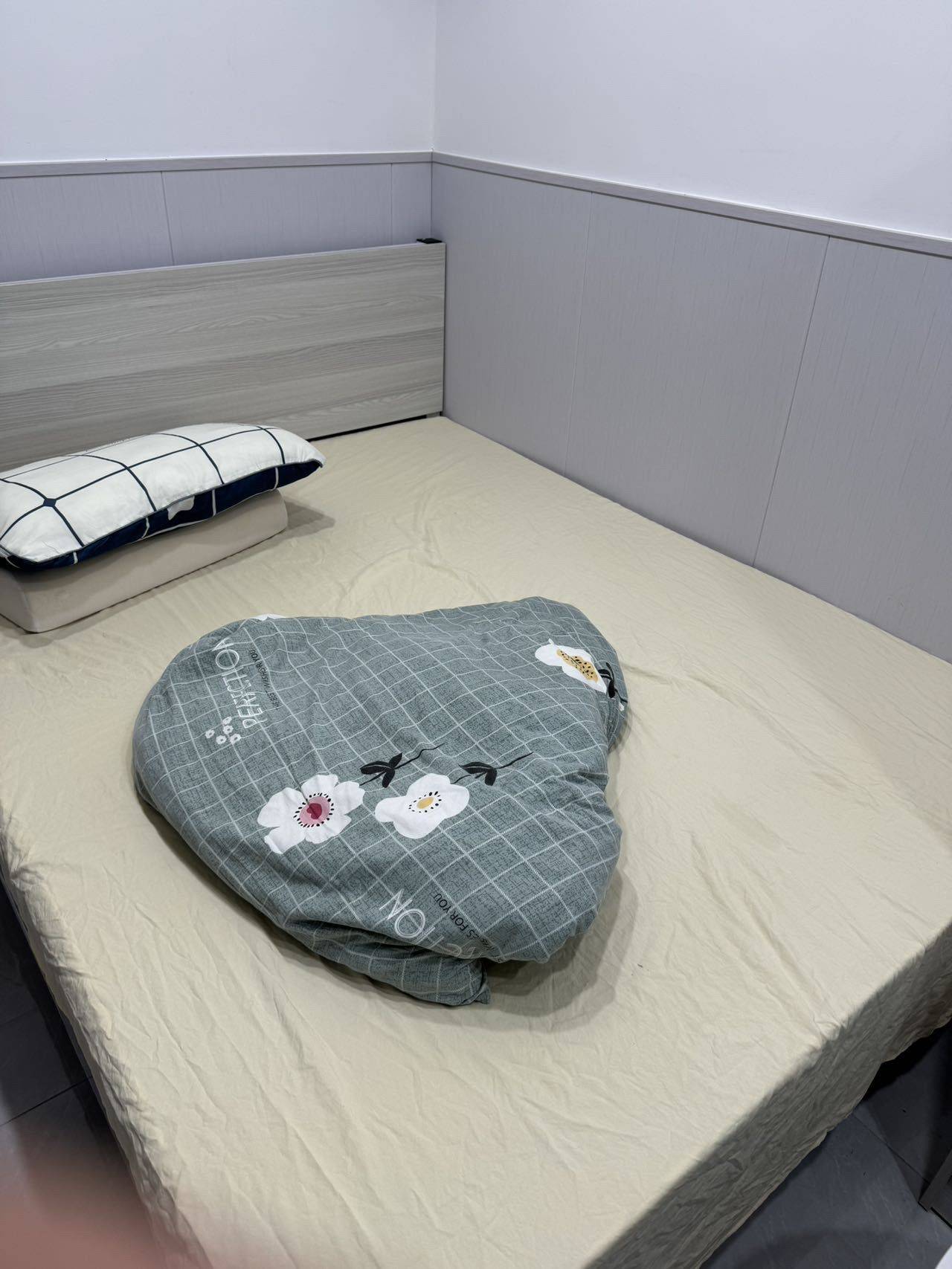 Shenzhen-BaoAn-Cozy Home,Clean&Comfy,Hustle & Bustle,Pet Friendly
