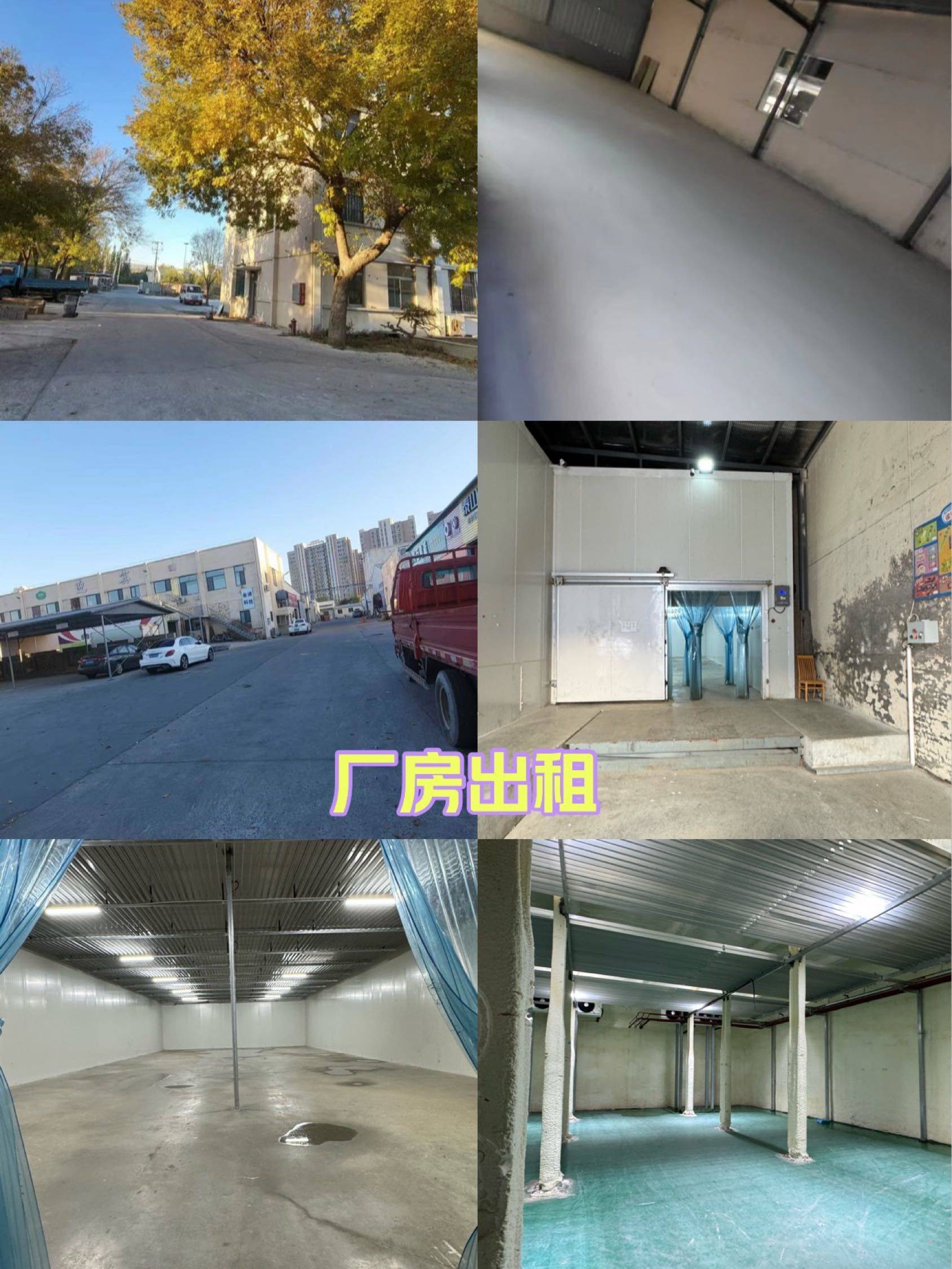 天津-西青-乾淨治愈,不限性別,慢時光