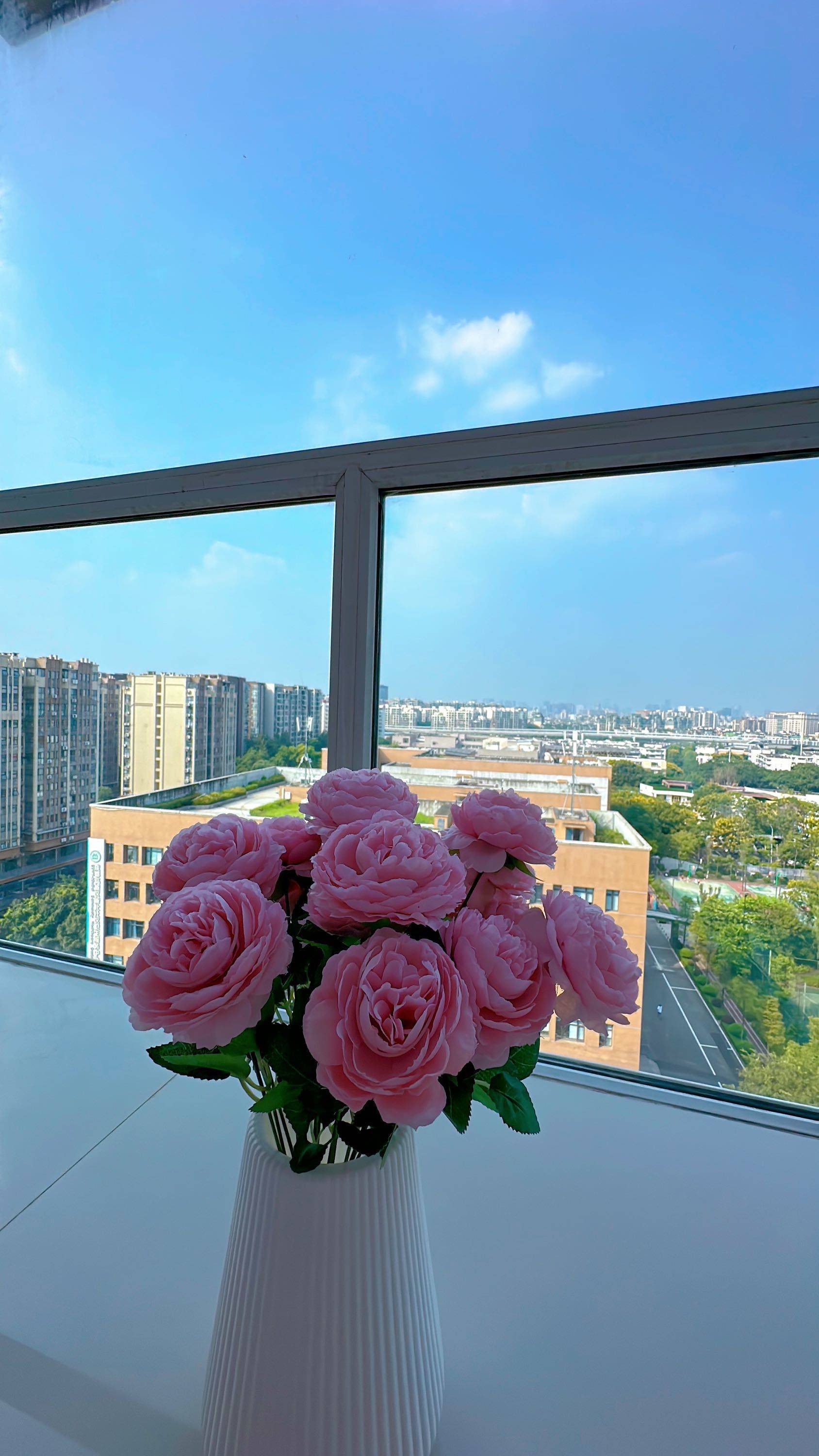 Chengdu-Wuhou-火车南站,Pet Friendly,LGBTQ Friendly,Cozy Home,Clean&Comfy,No Gender Limit,Chilled