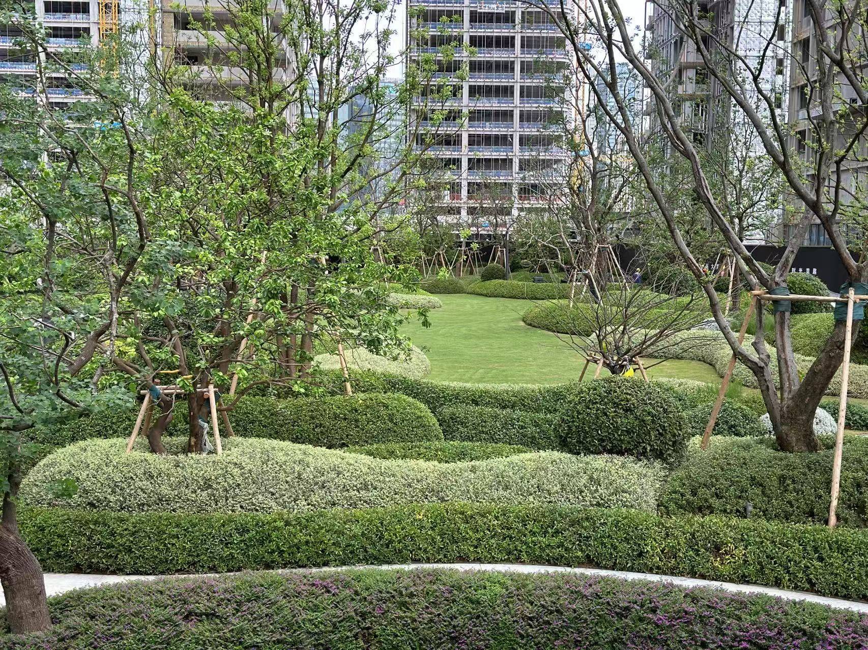 就是