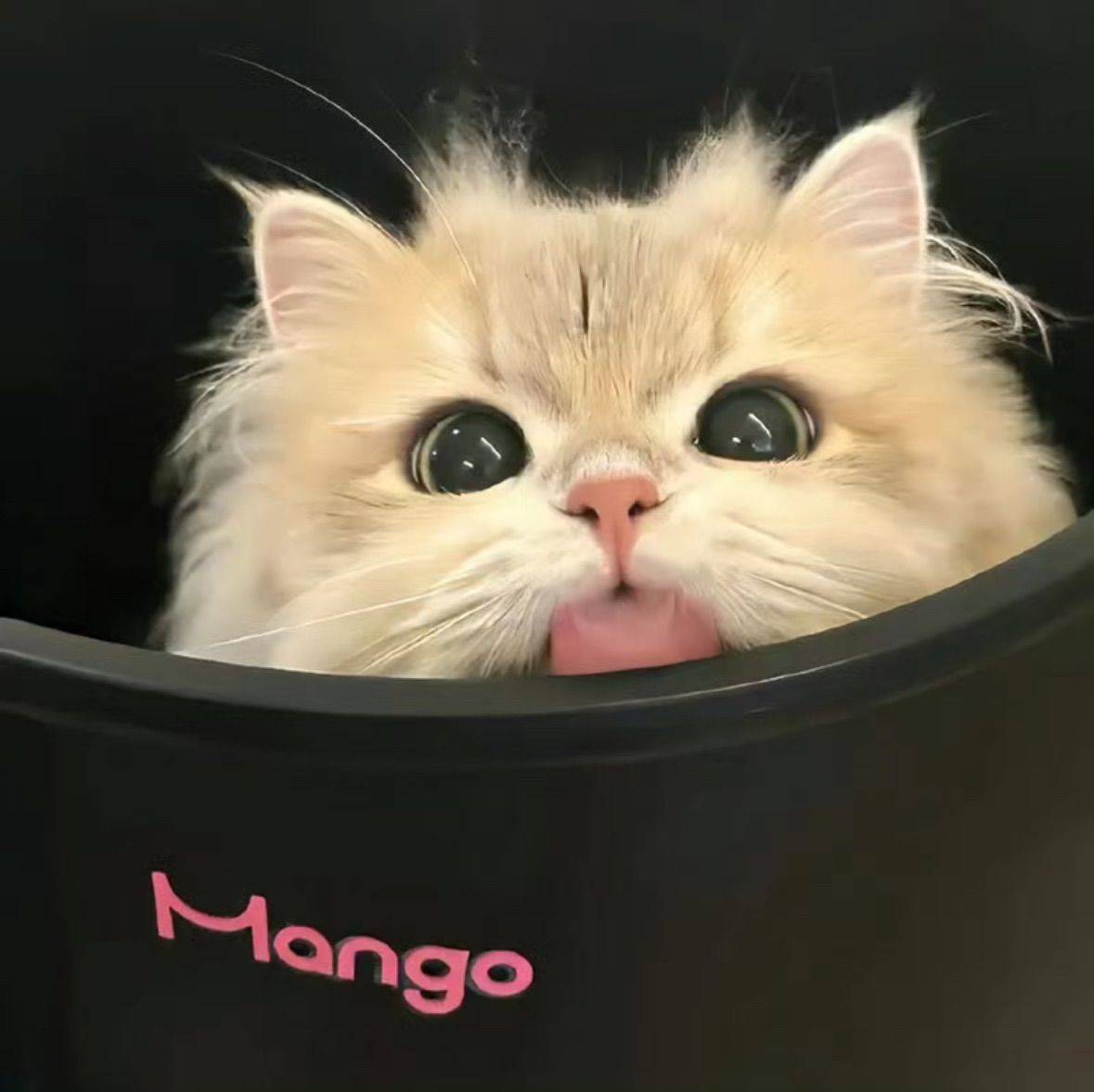 啦啦啦