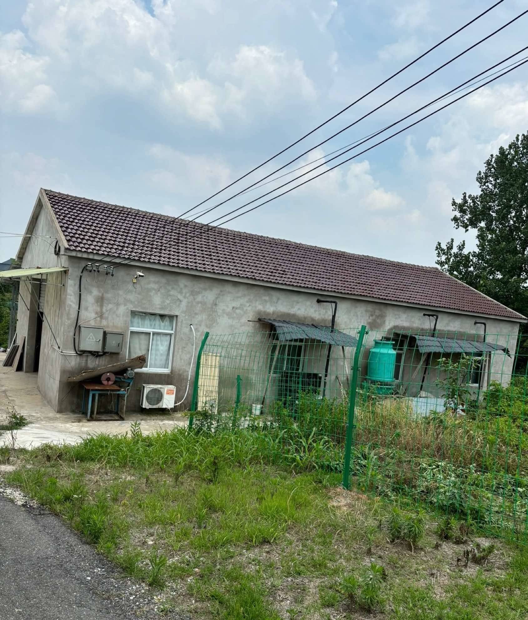 Nanjing-Jiangning-安静工作室,温馨大家庭,Pet Friendly,Cozy Home,Clean&Comfy,No Gender Limit,Hustle & Bustle,“Friends”,Chilled