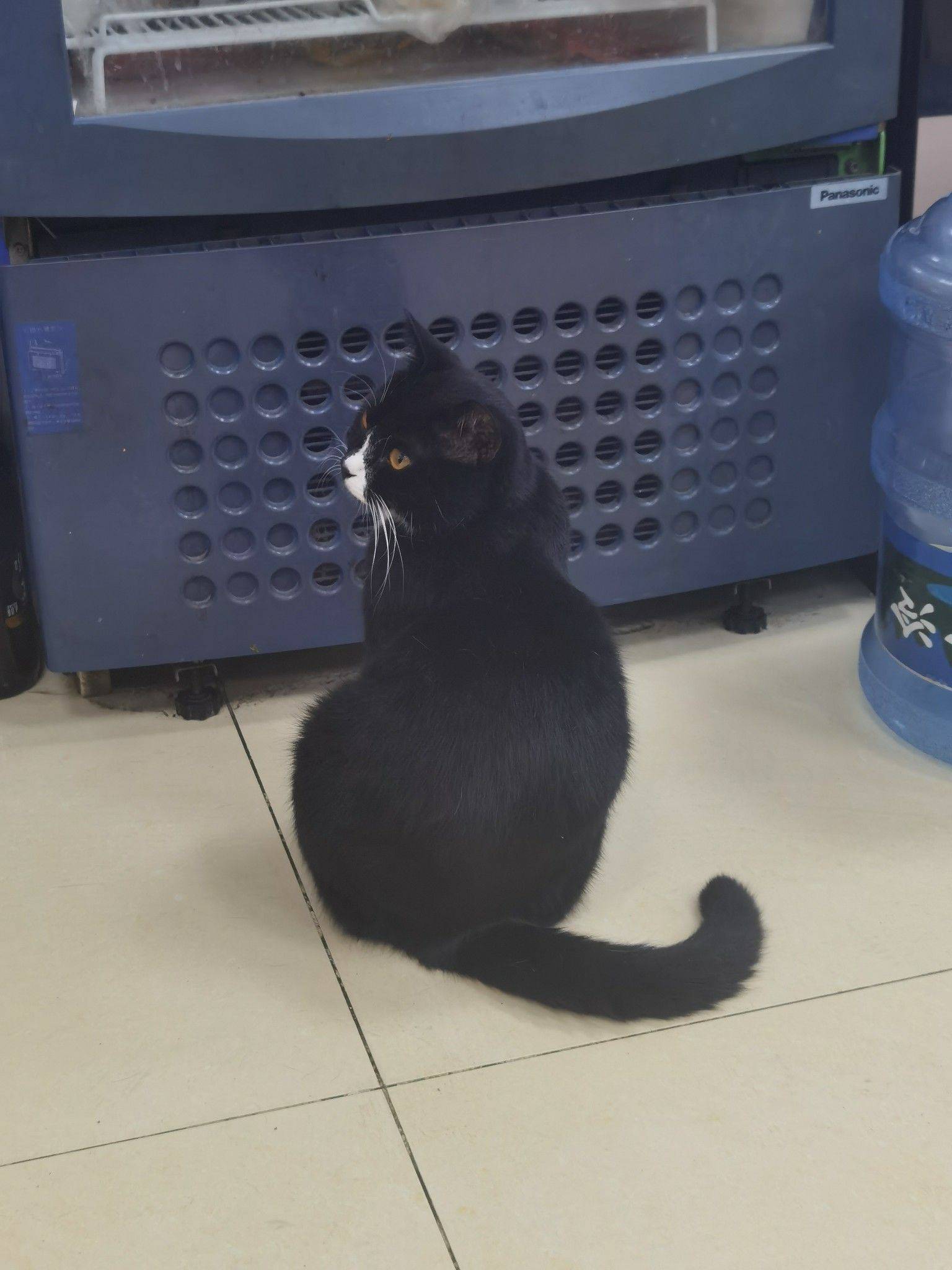 奥特曼