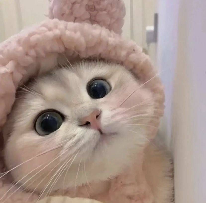 辻弌