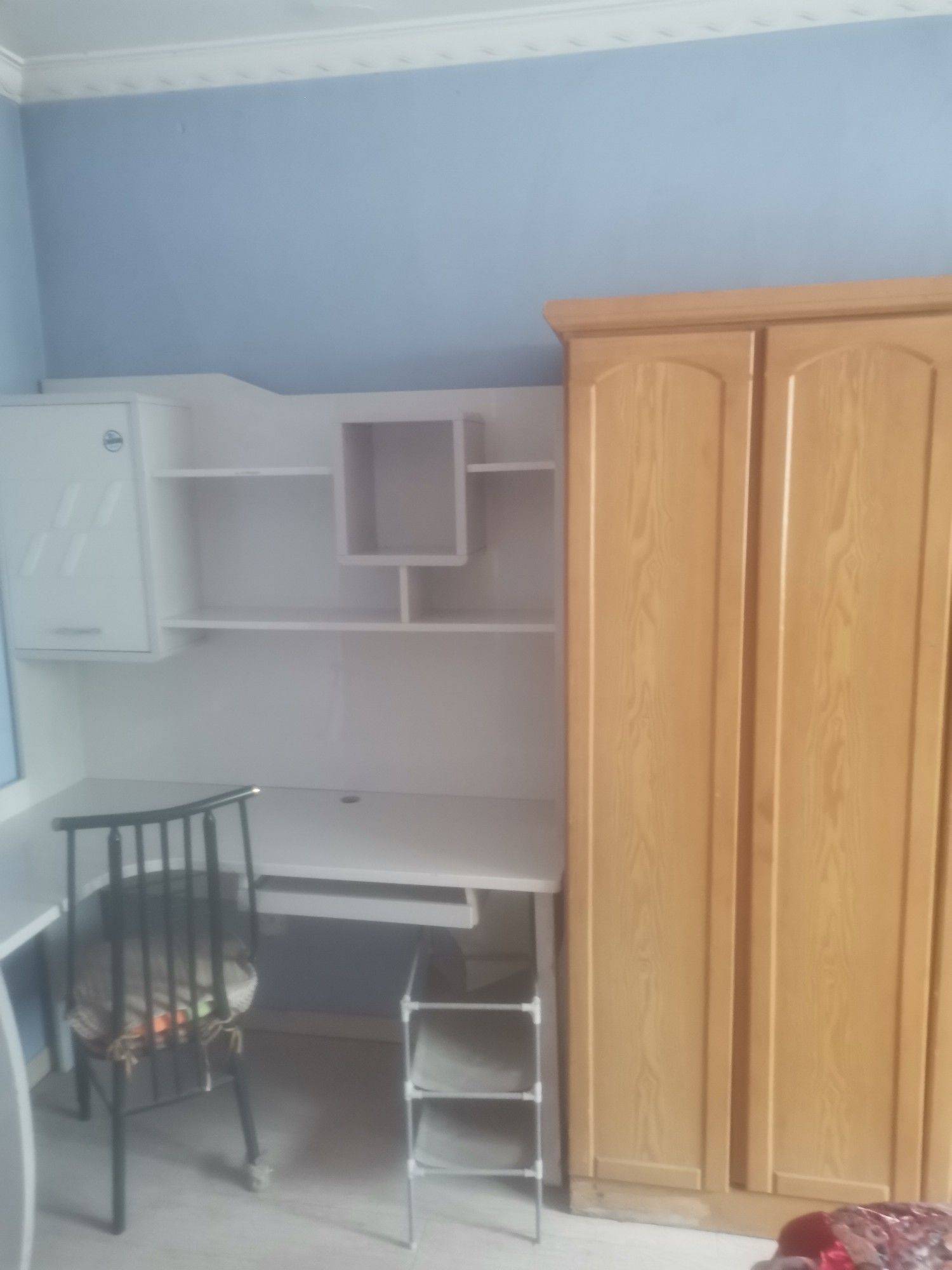 北京-朝阳-温馨小窝,干净治愈,不限性别,市井烟火气,老友记,慢时光,LGBTQ友好,宠物友好