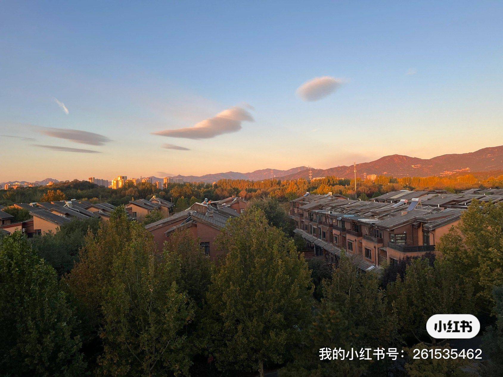 北京-海淀-温馨小窝,干净治愈,不限性别,慢时光,宠物友好