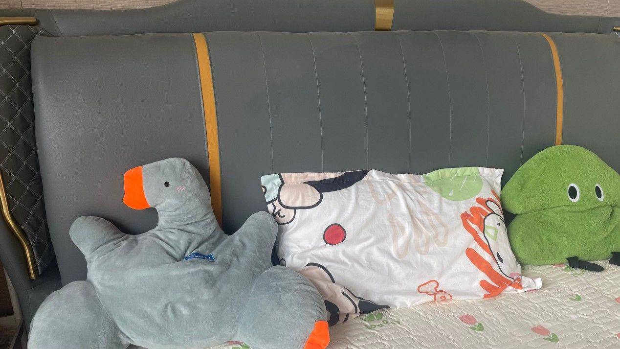 南京-溧水-溫馨小窩,乾淨治愈,不限性別,市井煙火氣,慢時光,寵物友好