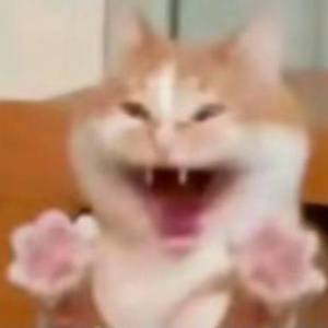 至少我还有青蛙