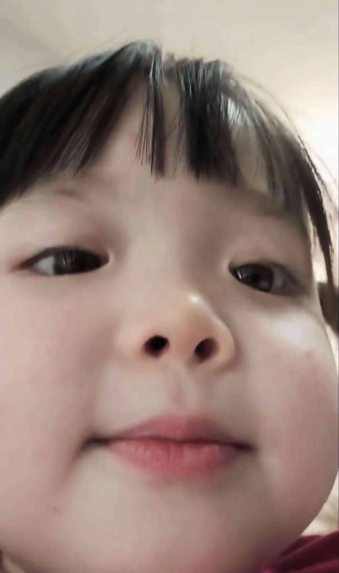虾