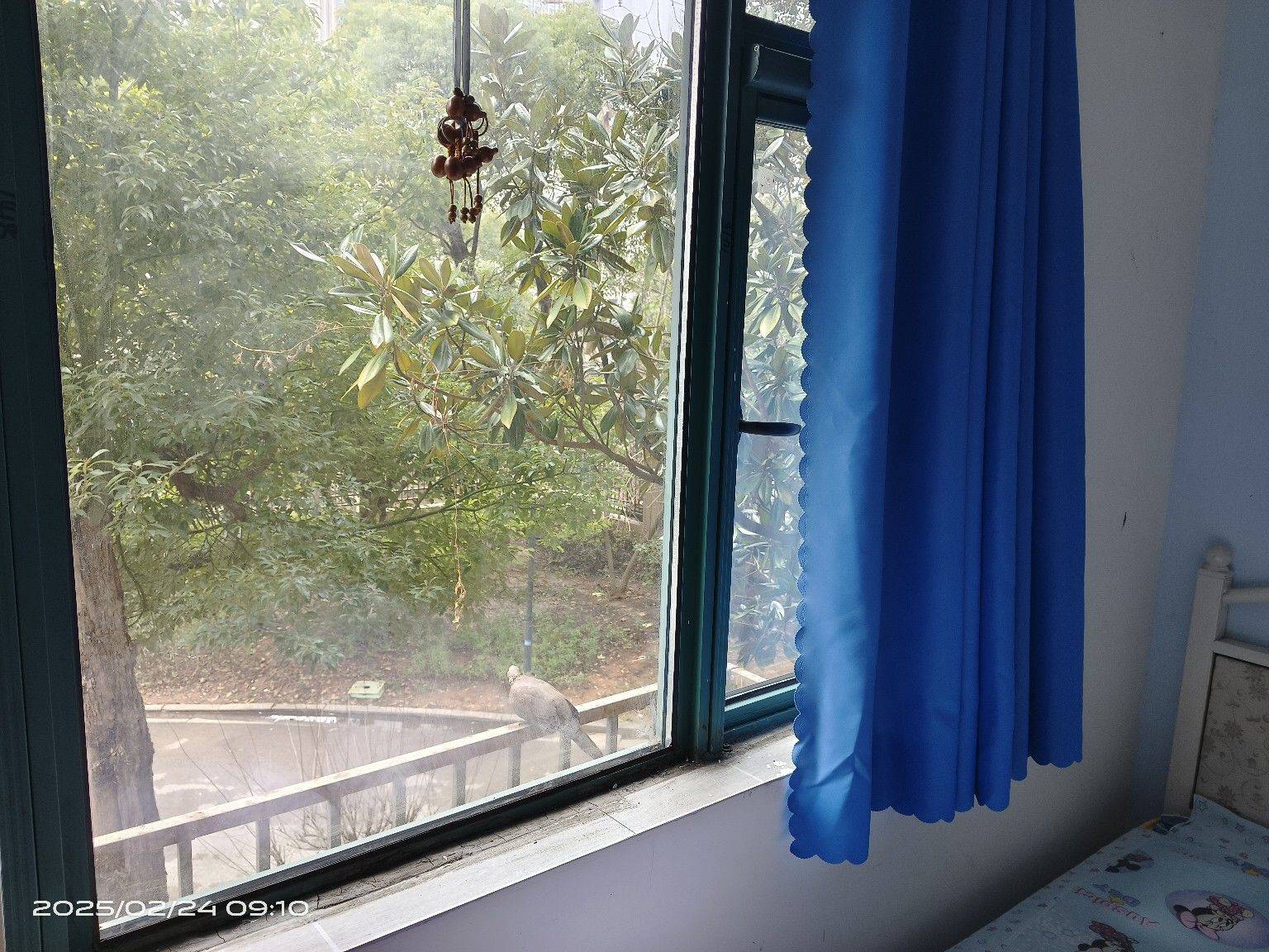 Changsha-Tianxin-Cozy Home,Clean&Comfy,No Gender Limit,Hustle & Bustle